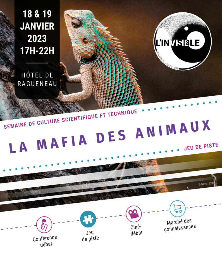 Affiche Carte Blanche "La mafia des animaux" - SCS 2023 - DDS - 18 et 19 janvier 17-22h - Hôtel de Ragueneau
