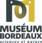 Logo Muséum Bordeaux sciences et nature