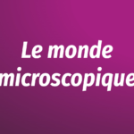 Image : Le monde microscope